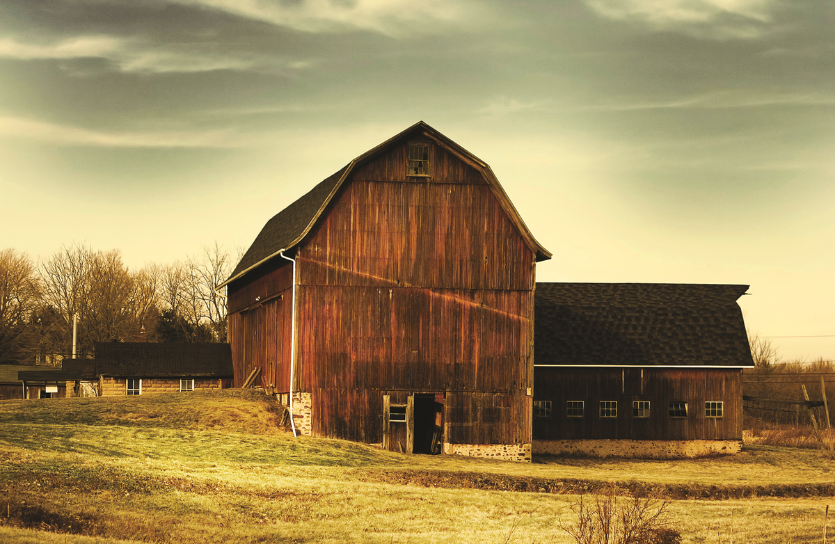 The Vintage Wood Floor Company